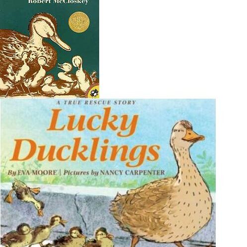 Duckling x 2