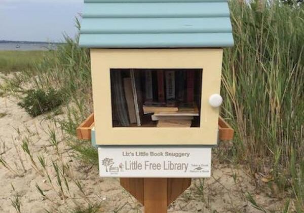 goosecreekbeachlibrarypopup-1468930195-5277